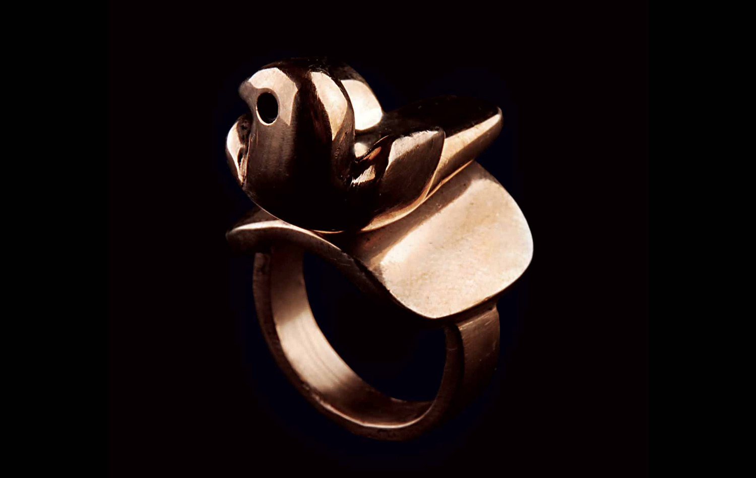 Bird Ring 3